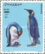Penguins Wildlife - Somalië (1960-...)