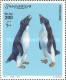 Penguins Wildlife - Somalie (1960-...)