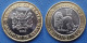KENYA - 10 Shillings 2018 "Lion" KM# 47 Republic (1964) - Edelweiss Coins - Kenia