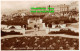 R454842 32. Sunken Gardens. Looking West. Brighton And Hove. RP - Monde