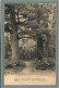 CPA (77) FORÊT-de-FONTAINEBLEAU - Thème: ARBRE - Aspect Des 3 Vernet Ou 3 Frères De La Vallée De La Solle En 1906 - Fontainebleau