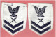 PAIRE D INSIGNES EN TISSU POUR UNIFORME MARINE AMERICAINE Qualification De Technicien En Cryptologie US NAVY - Uniform