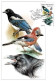 CM 1067-8, 1076-7, 1083-4 Czech Republic 2020 - Songbirds & Tree Dwellers