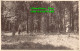 R455433 Unknown Place. People. Trees. Old Photography. Postcard - Monde