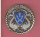 INSIGNE ESCORTEUR D ESCADRE DUPETIT THOUARS D625 FABRICANT ARTHUS BERTRAND 1956 1988 MARINE NATIONALE - Boten