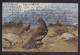 Wild Birds / Long Line Postcard Circulated, 2 Scans - Birds