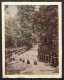 Fotoalbum Mit 65 Fotografien, Ansicht Kioto, Tracht, Geisha, Tempel, Daibutsu, Nikko, Kobe, Tokyo  - Alben & Sammlungen