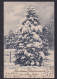 Herzlichen Gluckwunsch Zum Neuen Jahre / Year 1904 / Long Line Postcard Circulated, 2 Scans - New Year