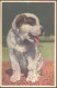 Switzerland Postcard With Stamps 1960 - Autres & Non Classés