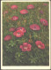 Switzerland Postcard With Stamps 1935 - Autres & Non Classés