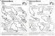 GF1036 - FICHES RENCONTRE - MOTOCYCLISME - PALMARES - Andere & Zonder Classificatie