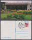 Inde India Pictorial Postmark Postcard Brindavan Garden, Mysore, Flower, Flowers, Palace, Tipu Sultan, Royalty - Sonstige & Ohne Zuordnung