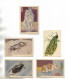 Delcampe - Lot De 23 Petites Fiches Illustrées  Sur Divers Animaux, Avec Descriptif Au Verso. - Animals