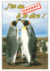 ANIMAUX - Oiseaux - Pingouins - J'ai Un Secret à Te Dire - Les Funnys - Carte Postale Ancienne - Oiseaux