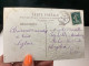 Carte Postale, 1918, Il Vous Portera Bonheur Houx - Autres & Non Classés