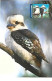 Australia  ** & Postal Stationery, Postage Pre-Paid, Laughing Kookabirra, Dacelo Novaeguineae 2005 (346188) - Sparrows