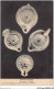 AICP1-ASIE-0072 - Lampes Romaines - Provenance PALESTINE - Palestine