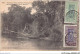 AICP5-AFRIQUE-0521 - DAHOMEY AFRIQUE OCCIDENTALE FRANCAISE - Bord De La Rivière En Forêt - Dahomey