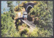 Inde India Mint Postcard Kalka-Shimla Railway, UNESCO World Heritage SIte, Railways, Train, Trains, Mountain Tunnnel - Indien