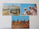 Delcampe - EGYPYTE  - Lot De 21 Cartes - Other & Unclassified