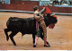 CORRIDA DE TOROS COURSE DE TAUREAUX BULL-FIGHT FEAST "Pase De Pecho Con La Izquierda" ( ͡♥ ͜ʖ ͡♥) ♥ - Stierkampf