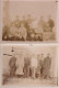 MILITARIA  -  HOPITAL BENEVOLE  -  1914-1915  -  LOT DE 4 PHOTOS  - - War, Military