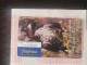 SPAIN-(P564)-AGUILA PERDICERA-FAUNA IBERICA(2)-(Y-11743321)-(4/05)(19094)-tirage-4.000-used Card+1 Card Prepiad Free - Privé-uitgaven