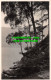 R466534 Ullswater. Walter Scott. RP. Postcard - World
