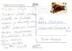 PÁJARO Animales Vintage Tarjeta Postal CPSM #PAN388.A - Vogels