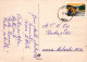 KATZE MIEZEKATZE Tier Vintage Ansichtskarte Postkarte CPSM #PAM585.A - Katzen
