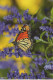 SCHMETTERLINGE Tier Vintage Ansichtskarte Postkarte CPSM #PBS429.A - Papillons