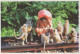 AFFE Tier Vintage Ansichtskarte Postkarte CPSM #PBS014.A - Monkeys