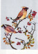 BIRD Animals Vintage Postcard CPSM #PBR691.GB - Birds