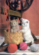 GATTO KITTY Animale Vintage Cartolina CPSM #PAM309.IT - Katzen
