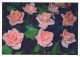 FIORI Vintage Cartolina CPSM #PBZ334.IT - Flowers