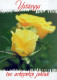 FIORI Vintage Cartolina CPSM #PBZ154.IT - Flowers