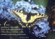 FARFALLA Animale Vintage Cartolina CPSM #PBS421.IT - Schmetterlinge