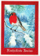 UCCELLO Animale Vintage Cartolina CPSM #PBR381.IT - Birds