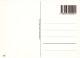 CONIGLIO Animale Vintage Cartolina CPSM #PBR042.IT - Sonstige & Ohne Zuordnung
