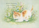 GATTO KITTY Animale Vintage Cartolina CPSM #PBQ975.IT - Katzen