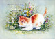 GATTO KITTY Animale Vintage Cartolina CPSM #PBQ975.IT - Katzen