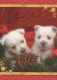 CANE Animale Vintage Cartolina CPSM #PBQ522.IT - Hunde