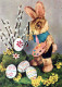 PASQUA CONIGLIO UOVO Vintage Cartolina CPSM #PBO367.IT - Easter