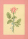 FLORES Vintage Tarjeta Postal CPSM #PBZ571.ES - Fleurs