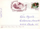 FLORES Vintage Tarjeta Postal CPSM #PBZ151.ES - Flowers