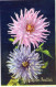 FLOWERS Vintage Ansichtskarte Postkarte CPA #PKE567.DE - Fleurs