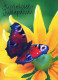 SCHMETTERLINGE Tier Vintage Ansichtskarte Postkarte CPSM #PBS420.DE - Butterflies