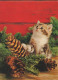 KATZE MIEZEKATZE Tier Vintage Ansichtskarte Postkarte CPSM #PBQ911.DE - Cats