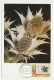 Maximum Card Netherlands 1988 Sea Holly - Trees