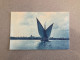 Barque Du Leman Carte Postale Postcard - Sonstige & Ohne Zuordnung